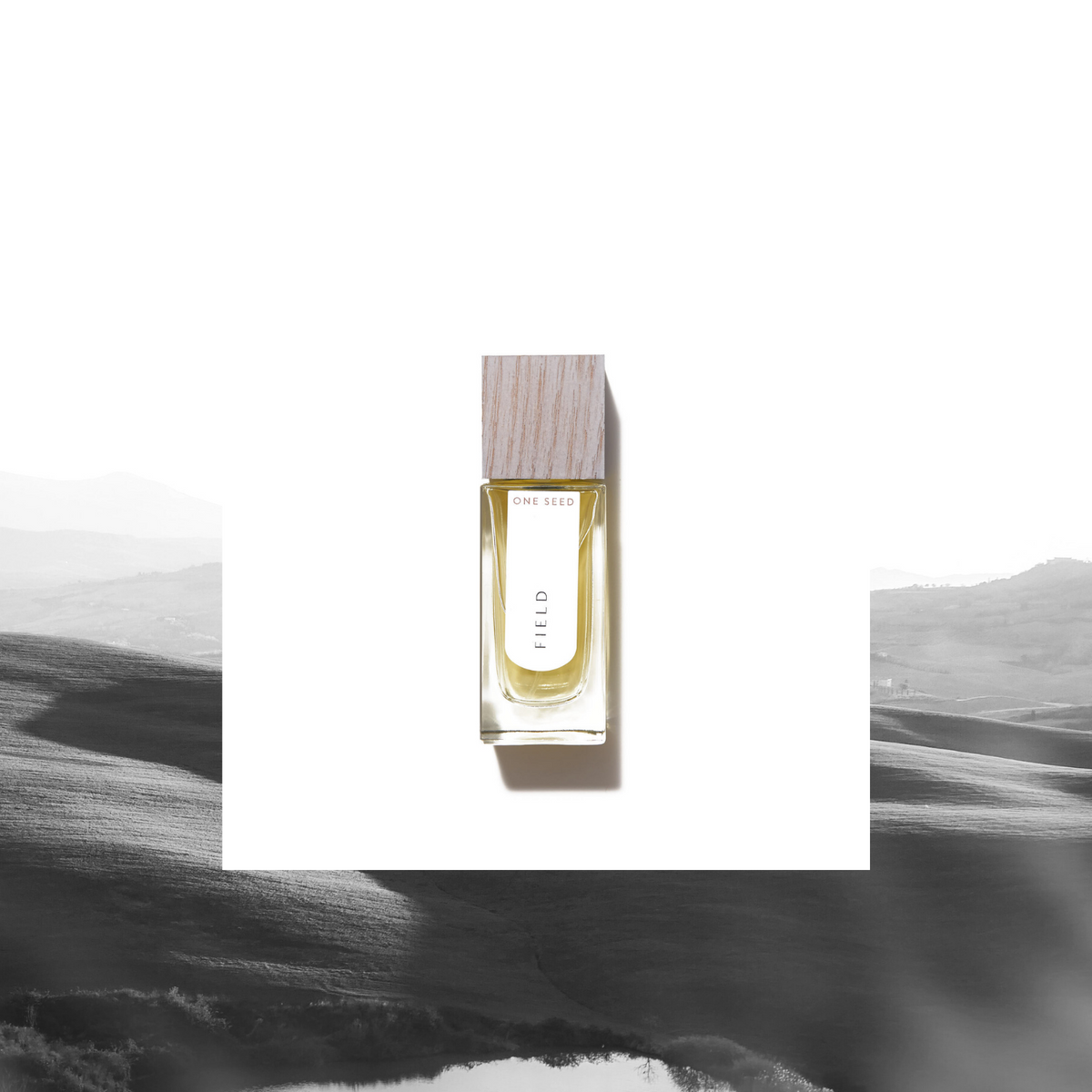 One Seed - Field eau de parfum 30ml - The Bare Theory